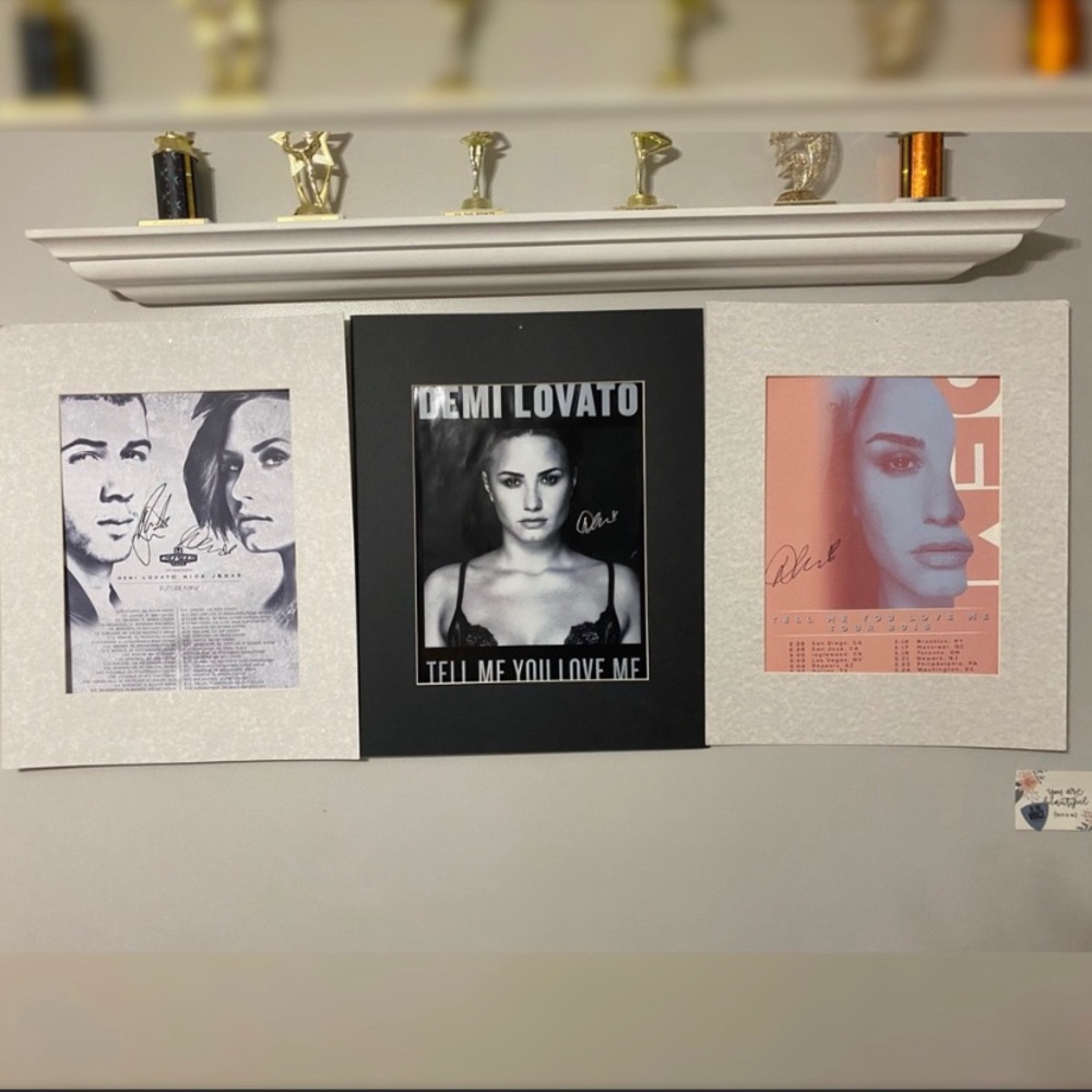 Demi Lovato Extreme Package: Autographs & More